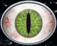 Monster Eyeball Belt Buckle – Halloween Taxidermy Cosplay Buckle – 56-E