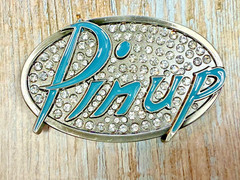 Pinup Girl – Blue Lettering Fashion Statement Novelty Jeweled Oval Belt Buckle