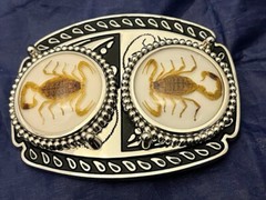 Silver tone Scorpion Belt Buckle and Bolo Set