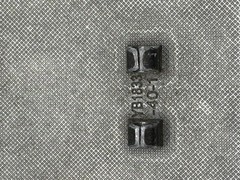 True Religion « World Tour » metal plaque belt buckle