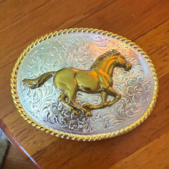 Montana Silversmiths Oval Western Horse Belt Buckle Silver/Gold Rope Edge