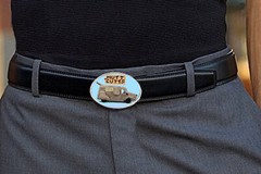 Mutt Cutts Sheepdog Van Dumb and Dumber Movie Belt Buckle Pewter Limited Edition