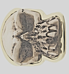 Skull Belt Buckle Gold Metal Halloween Party Costume Vintage Retro Bikers Gothic