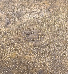 Vintage 1970s Harley Davidson HD Motorcycle Eagle Spread Wings Brass Belt Buckle