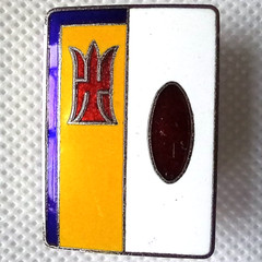 8th Japan Swimming Championship – Vintage Belt Buckle
