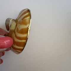 Vintage Nautilus Shell Belt Buckle Brown Gold Tone Coastal Beach
