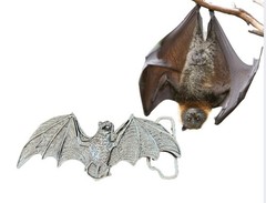 Vintage Style Bat Belt Buckle Dracula Megabat Gothic Western Design Metal