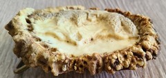 Hand Carved Elk Antler, Mountains, Trees, Cottage Belt Buckle