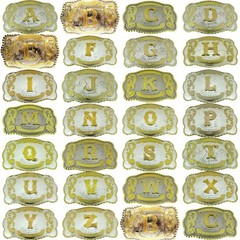A B C D G J K L M R S T LETTER INITIAL WESTERN COWBOY COWGIRL RODEO SILVER GOLD