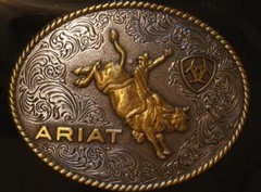 Ariat Western Belt Buckle Oval Bull Rider Logo Silver & Gold tone A37056