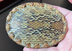 Trevino&rsquo;s snakeskin belt buckle