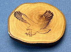 Eagle Landing Belt Buckle Wood Burning Design Patriotic American READ