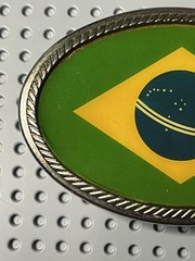 Brazil Flag Oval Belt Buckle Enamel Silver Tone Metal 4&Prime; x 2.75&Prime; Men Women