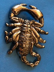 Large Heavy Duty Monster Scorpion Belt Buckle