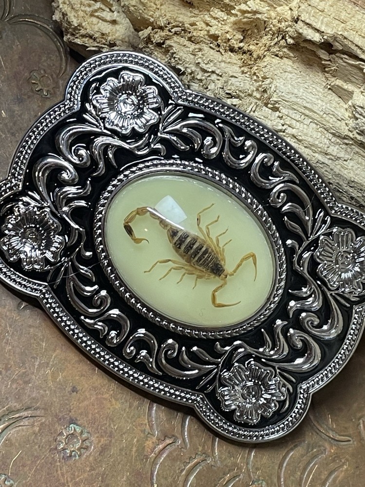 Scorpion Xmas WESTERN SILVER BELT ADJUSTABLE BUCKLE MEN WOMEN UNIQUE VALENTINE