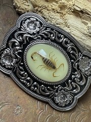 Scorpion Xmas WESTERN SILVER BELT ADJUSTABLE BUCKLE MEN WOMEN UNIQUE VALENTINE