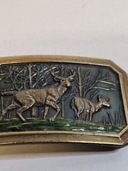 VTG Deer Hunting Belt Buckle 1976 Rectangle 3.25 By 2.25 in Number 520 Made USA