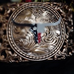 Longhorn Western belt Buckle Texas Style Rose Tone 4.5 x 3.5  » Cowboy Rodeo Buck