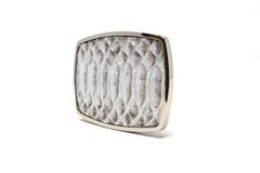 Snake Belt Buckle, Exotic Belt Buckle, ( 1.5 ») Removable Western Buckle