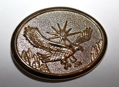 Eagle in Flight with Rhinestone Star 3 Dimensional Gold Tone Belt Buckle
