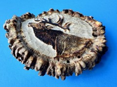 Vintage Elk Antler Belt Buckle Hand Carved M Horvat Western Rustic