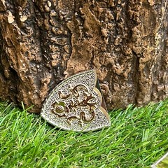 Men/ Women Western Cowgirl Cowboy Rooster Belt Buckle Hebillas Vaqueras Silver