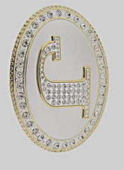 Initial J Letter Monogram Western Cowboy Men Women Gold Bling Metal Belt Buckle