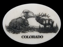 NF09149 *NOS* REALLY NICE **COLORADO (WILDLIFE)** WHITE MARBLE STONE ART BUCKLE
