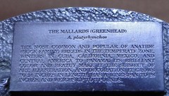 Belt Buckle – Waterfowl U.S.A. – Mallards – 1993-1994 – One of 5000 – 2.75 »x2.2