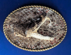 Genuine Rattlesnake Skin Oval Belt Buckle wit Head made in USA #B366