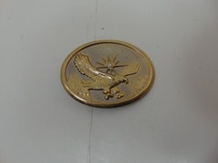 Flying Eagle Gold Tone Belt Buckle Sun Burst Diamond Cut Center & Rhinestone 3D