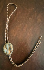 Vintage Southwestern Agate Stone Bolo Tie & Belt Buckle Set Gold Tone ZB-003