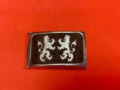 Crowned Griffon Lion&rsquo;s Family Crest Graphic Faux Wood Grain Belt Buckle
