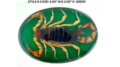 Vintage Real Scorpion Belt Buckle Preserved Inlay Zodiac Sign Men Women Lucky