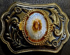 Gold Plated Belt Buckle with 25×18 Shell Cabochon 4&Prime;x3&Prime; 2 in belt