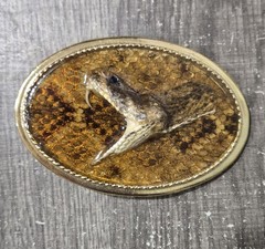 Taxidermy Rattlesnake Head Belt Buckle