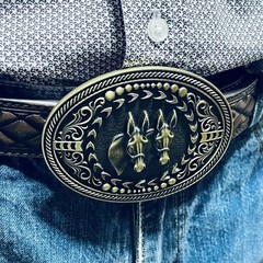 Montana Silversmiths Attitude Twin Mules Western Oval Antique Brass Belt Buckle