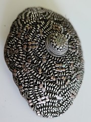 Vtg Silver Plated Copper Wire Filigree Belt Buckle Ornate Lace Medallion Large