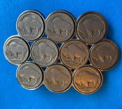Vintage Buffalo Nickel Cluster Coin Belt Buckle