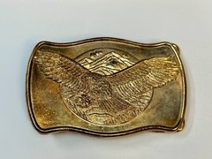 Patriotic Majestic American Eagle Flying Over Usa Mountains Vintage Belt Buckle