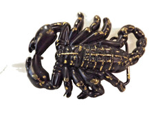 Scorpion Belt Buckle Western Cowboy Corgirl Motorcyclist Carrod 4.5&Prime;x3&Prime; Fits 1.5