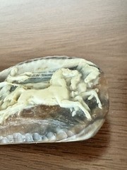 Vintage Large Carved Cream & Brown Resin Woman and Man Chariot Horses Belt Buckl