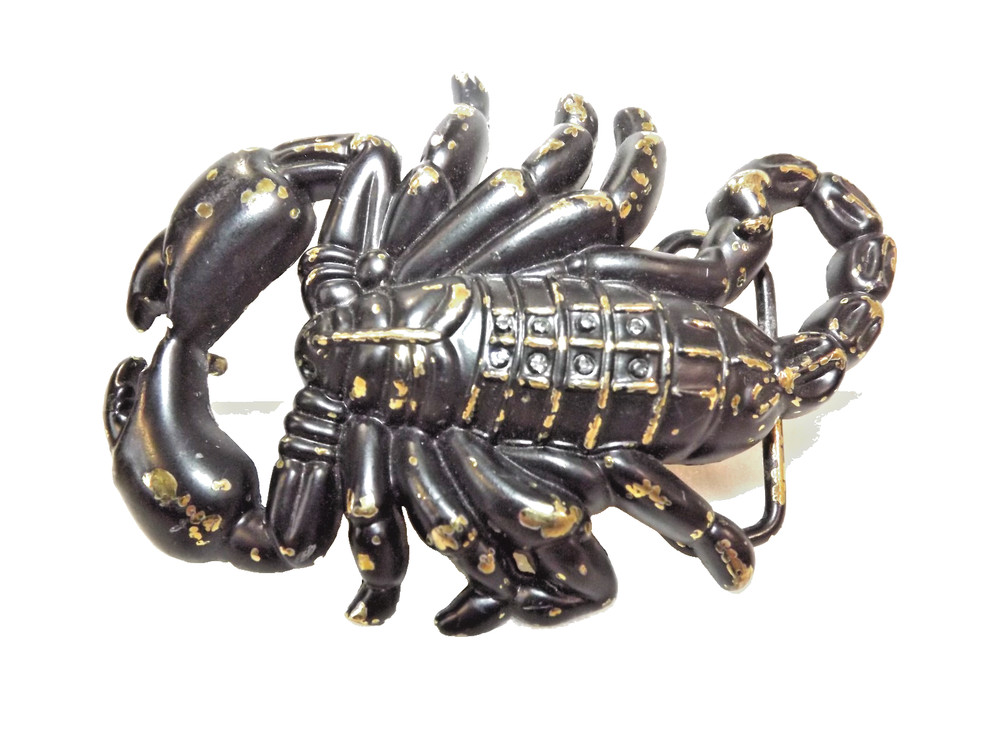 Scorpion Belt Buckle Western Cowboy Corgirl Motorcyclist Carrod 4.5&Prime;x3&Prime; Fits 1.5
