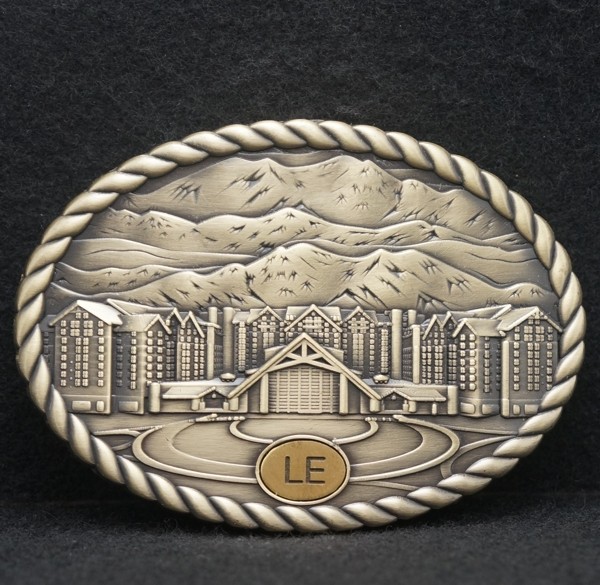 WD09156 REALLY NICE VINTAGE 2022 ****LE**** MOUNTAINS ARTWORK BRASS BELT BUCKLE
