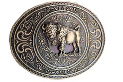 Men Gold Metal Buffalo Bull Belt Buckle Cowboy Western Fashion Oval Shape Casual