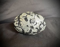 Pumice Stone Belt Buckle Archive Mixed Media Industrial Art OOAK Darren McNeese
