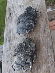 Set of 2 Bergamot Brass Works Z-145 Bison Buffalo Silver Brass Western Buckle
