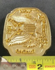 BORN IN THE U.S.A. USA STRONG FREE PROUD PATRIOTIC SEAL EAGLE BELT BUCKLE RM FAY