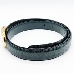 Louis Vuitton Belt Greens Taiga 3982040