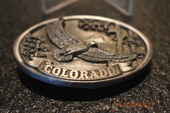 Colorado Belt Buckle Eagle In Flight 1986 C+J Inc U.S.A.